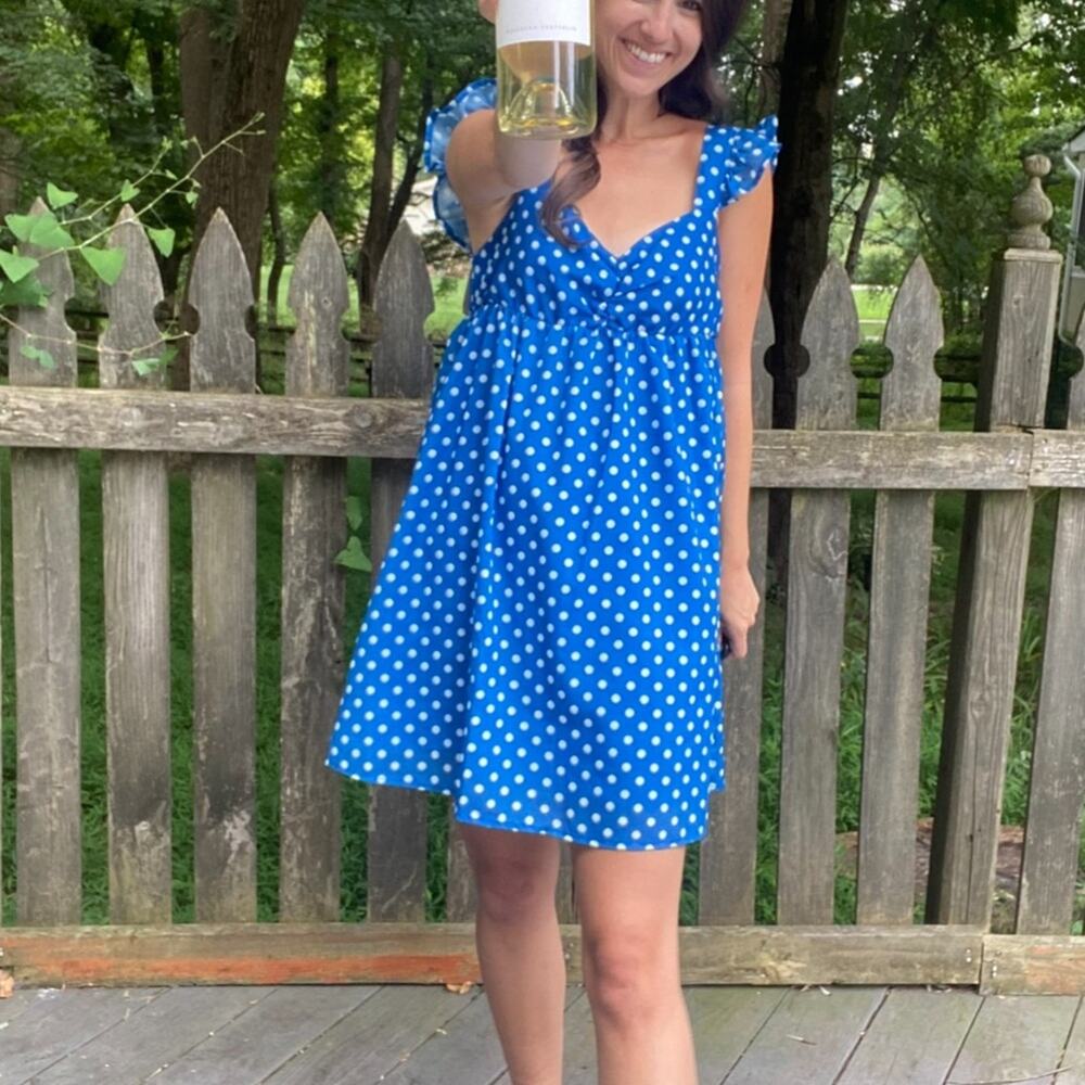 NWT Storia Skies Are Blue Dress Size Small